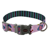 Flowers, Birds and Stripes Dog Collar